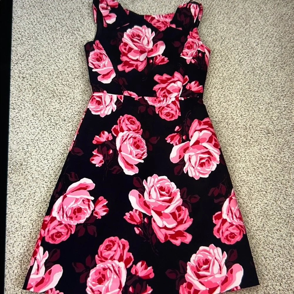 NWT Kate Spade “Rosa” A-Line Dress, 0